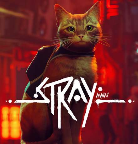 Portada de STRAY